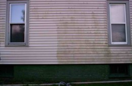 Pressure Washing & Mold Removal
